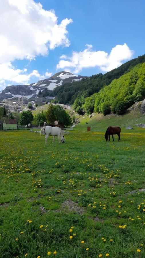 Katun Mokra Accommodation & Horseback Riding Podgorica Kültér fotó