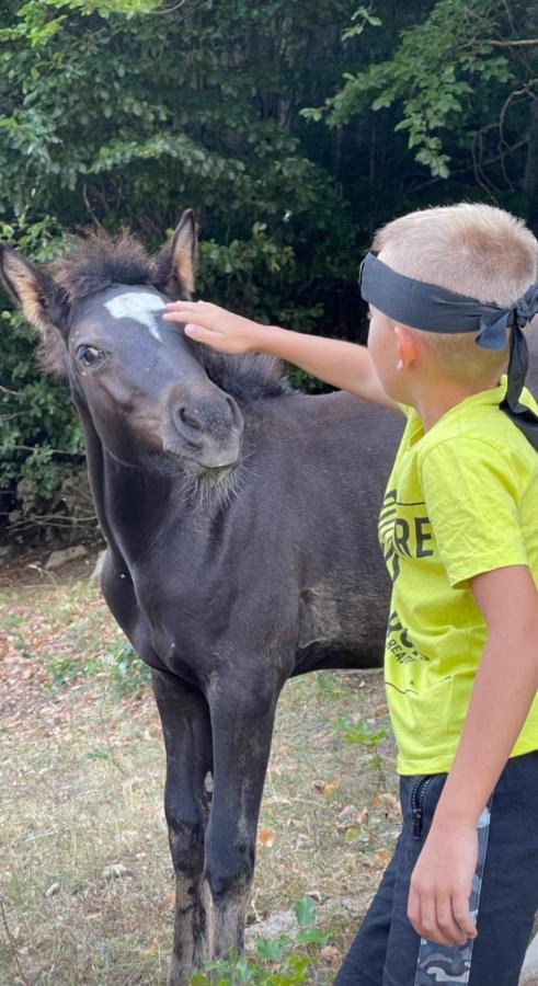 Katun Mokra Accommodation & Horseback Riding Podgorica Kültér fotó