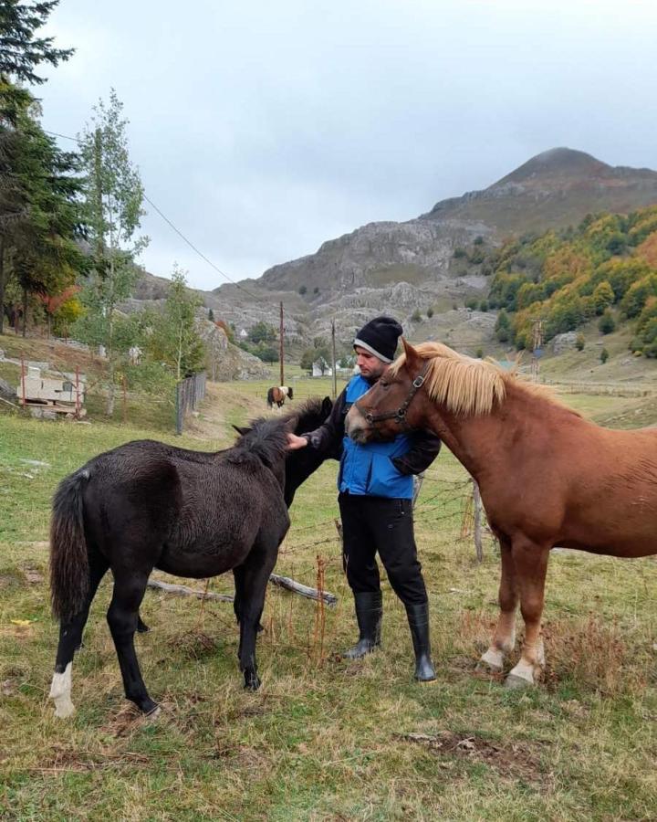 Katun Mokra Accommodation & Horseback Riding Podgorica Kültér fotó