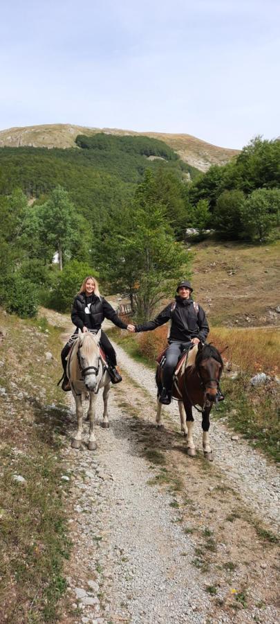 Katun Mokra Accommodation & Horseback Riding Podgorica Kültér fotó