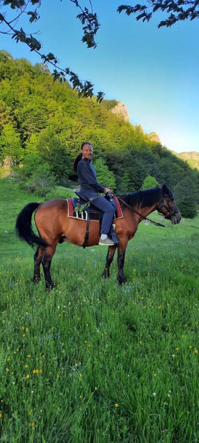 Katun Mokra Accommodation & Horseback Riding Podgorica Kültér fotó