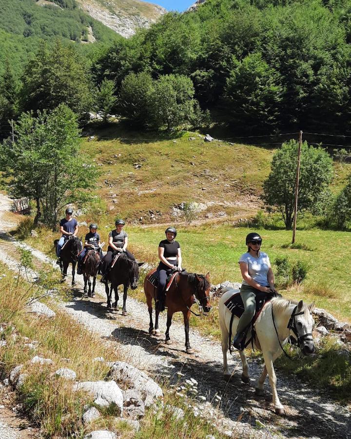 Katun Mokra Accommodation & Horseback Riding Podgorica Kültér fotó