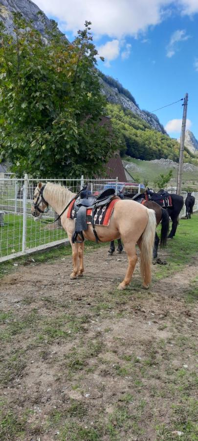 Katun Mokra Accommodation & Horseback Riding Podgorica Kültér fotó