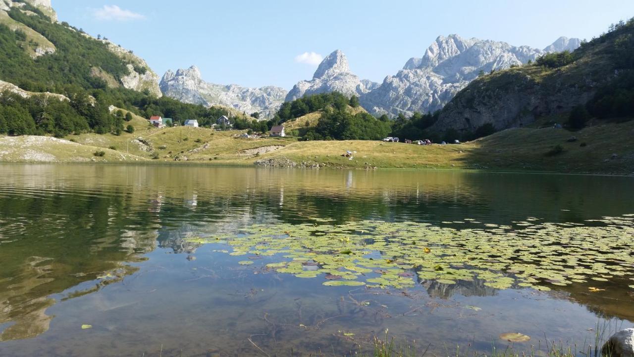 Katun Mokra Accommodation & Horseback Riding Podgorica Kültér fotó